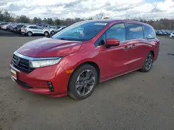 5FNRL6H93NB053627 2022 HONDA ODYSSEY