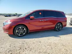 5FNRL6H93PB023305 2023 HONDA ODYSSEY