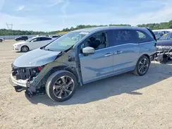 5FNRL6H93RB001159 2024 HONDA ODYSSEY