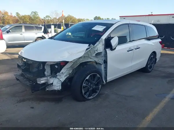 5FNRL6H93RB025591 2024 HONDA ODYSSEY - Image 2