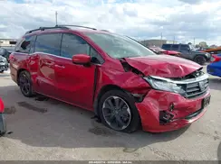5FNRL6H93RB038017 2024 HONDA ODYSSEY