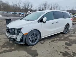 5FNRL6H93RB069283 2024 HONDA ODYSSEY