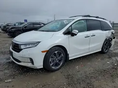 5FNRL6H94NB047464 2022 HONDA ODYSSEY