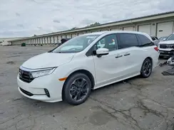 5FNRL6H94RB000747 2024 HONDA ODYSSEY