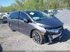 5FNRL6H94RB001655 2024 HONDA ODYSSEY