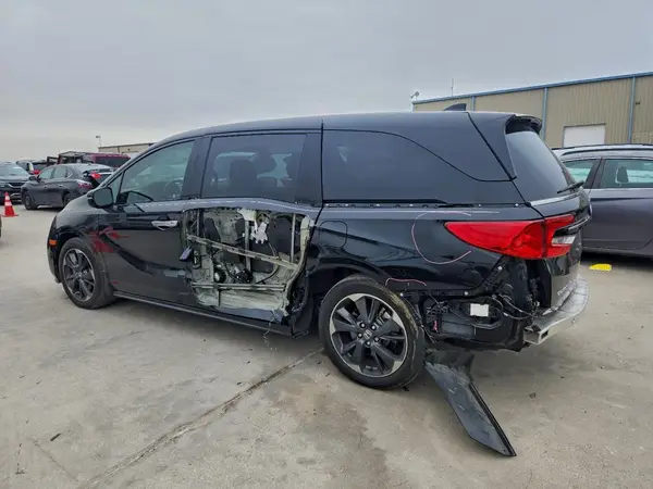 5FNRL6H94RB010646 2024 HONDA ODYSSEY - Image 2