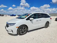 5FNRL6H95NB001089 2022 HONDA ODYSSEY