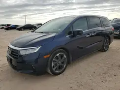 5FNRL6H95NB056531 2022 HONDA ODYSSEY