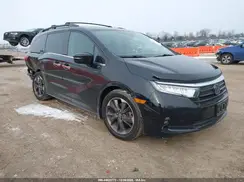 5FNRL6H95PB024391 2023 HONDA ODYSSEY