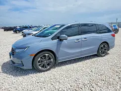 5FNRL6H95PB053874 2023 HONDA ODYSSEY