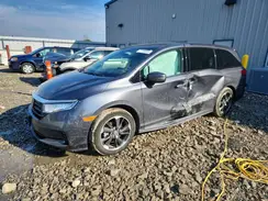 5FNRL6H95PB070206 2023 HONDA ODYSSEY
