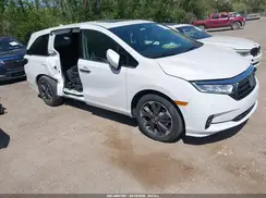 5FNRL6H95RB020621 2024 HONDA ODYSSEY