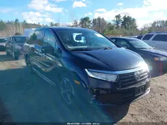 5FNRL6H96MB002556 2021 HONDA ODYSSEY