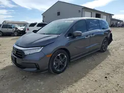 5FNRL6H96NB047224 2022 HONDA ODYSSEY