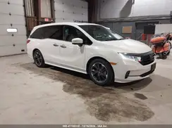 5FNRL6H96RB034253 2024 HONDA ODYSSEY