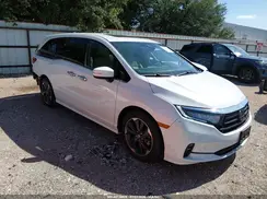 5FNRL6H96RB055216 2024 HONDA ODYSSEY