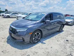 5FNRL6H97RB017719 2024 HONDA ODYSSEY