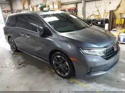 5FNRL6H97RB031524 2024 HONDA ODYSSEY