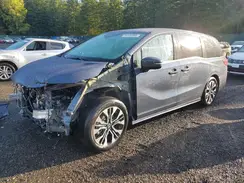 5FNRL6H97SB044425 2025 HONDA ODYSSEY