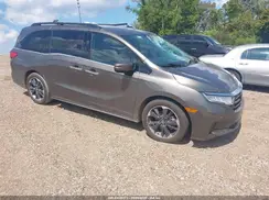 5FNRL6H98PB020917 2023 HONDA ODYSSEY