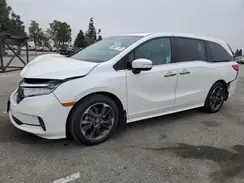 5FNRL6H98PB037300 2023 HONDA ODYSSEY