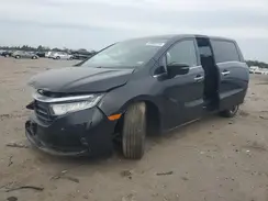 5FNRL6H98RB002551 2024 HONDA ODYSSEY