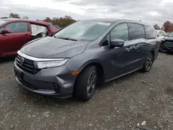 5FNRL6H98RB017728 2024 HONDA ODYSSEY