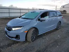 5FNRL6H98SB015564 2025 HONDA ODYSSEY