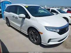 5FNRL6H99PB066076 2023 HONDA ODYSSEY