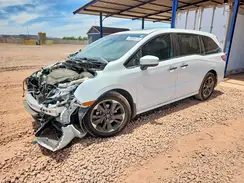 5FNRL6H99RB000744 2024 HONDA ODYSSEY