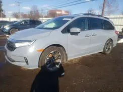 5FNRL6H99RB001151 2024 HONDA ODYSSEY