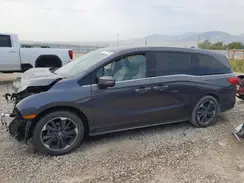 5FNRL6H99RB001683 2024 HONDA ODYSSEY