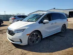 5FNRL6H99RB026311 2024 HONDA ODYSSEY