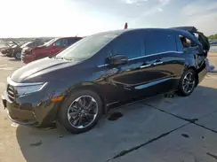 5FNRL6H99RB033209 2024 HONDA ODYSSEY
