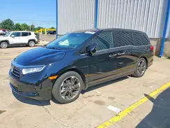 5FNRL6H99RB040287 2024 HONDA ODYSSEY