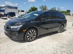 5FNRL6H99SB013967 2025 HONDA ODYSSEY