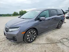5FNRL6H99SB035290 2025 HONDA ODYSSEY