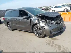 5FNRL6H9XPB013936 2023 HONDA ODYSSEY