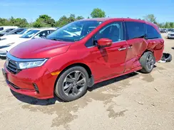 5FNRL6H9XRB003779 2024 HONDA ODYSSEY