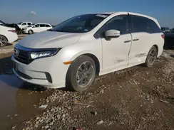 5FNRL6H9XRB026320 2024 HONDA ODYSSEY
