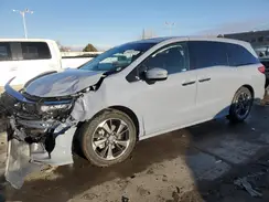 5FNRL6H9XRB029489 2024 HONDA ODYSSEY