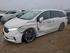 5FNRL6H9XRB055879 2024 HONDA ODYSSEY
