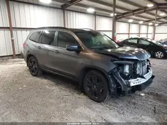 5FNYF5H23MB038446 2021 HONDA PILOT