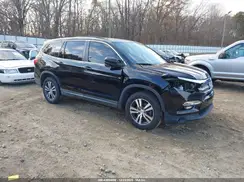 5FNYF5H31GB004969 2016 HONDA PILOT