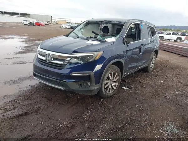5FNYF5H31KB024339 2019 HONDA PILOT - Image 2