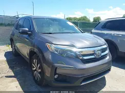 5FNYF5H31KB033347 2019 HONDA PILOT