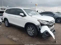 5FNYF5H31KB034563 2019 HONDA PILOT