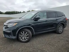 5FNYF5H31KB038516 2019 HONDA PILOT