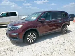 5FNYF5H31LB019787 2020 HONDA PILOT