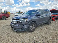 5FNYF5H32KB038461 2019 HONDA PILOT